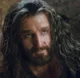 Thorin Oakenshield