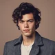 Harry Styles 