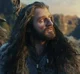 Thorin Oakenshield