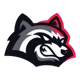 BetFury Raccoon