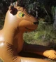Inflatable Lioness 