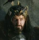 Thorin Oakenshield 