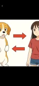 Body swap dog
