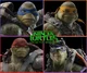 TMNT Bayverse