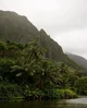 RPG The Islands