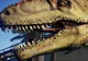Giga -Giganotosaur-