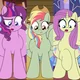3-Conjoined Ponies