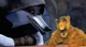 ALF meets Death