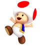Toad