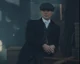 Thomas Shelby