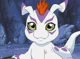 Gomamon