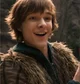 Hiccup The Viking