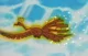 Ho-oh