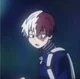 Shoto todoroki 