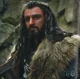 Thorin Oakenshield 