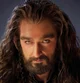 Thorin Oakenshield