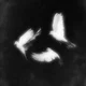Hades - Dark night