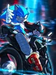 Sonic and Shadow 