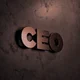 CEO- Idiot Husband