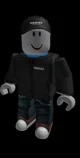 Roblox owner