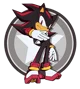 Shadow The Hedgehog