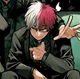 Shoto Todoroki