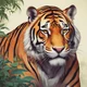 Tigre de bengala