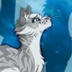 Ivypool - WoCa