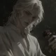 Alaric Von Wald