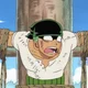 Zoro Roronoa 