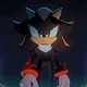 SHADOW T HEDGEHOG 