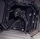 Xenomorph 