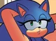 Sonica the hedgehog