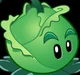 Cabbage Pult