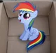 My Little Dashie RP