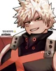 Katsuki Bakugou 