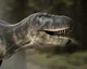 Daspletosaur Torosus