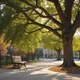 Public park