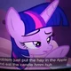 Princess twilight 