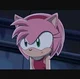 Amy Rose