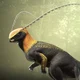Hypsilophodon foxii
