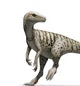 Herrasaurus ischigua