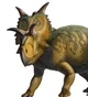 Xenoceratops foremos