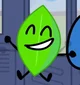 leafy bfdi