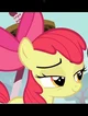 Apple Bloom