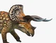 Eotriceratops xerins