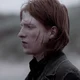 Bill Weasley 