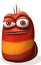 Red larva