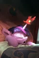 Princess twilight 