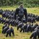 100 men vs 1 gorilla